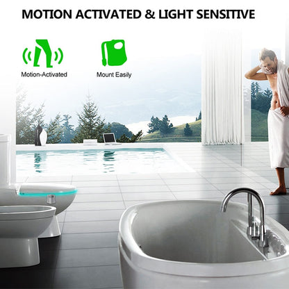 Smart Motion Sensor Toilet Seat Night Light